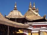 DCP_0643