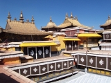DCP_0649
