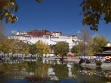 DCP_0711