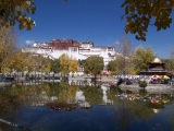 DCP_0712