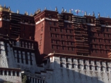 DCP_0781