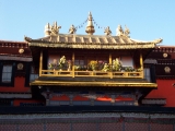 DCP_0784