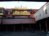 DCP_0785