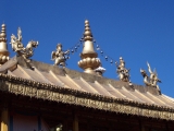 DCP_0849