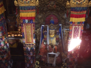 DCP_0867