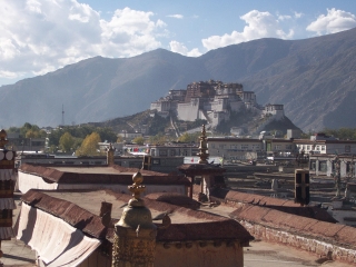 DCP_0875
